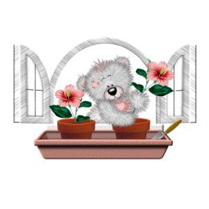 teddy ours cache cache